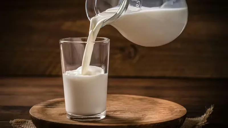 Lait industriel UHT et poudre de lait pour l'industrie agroalimentaire